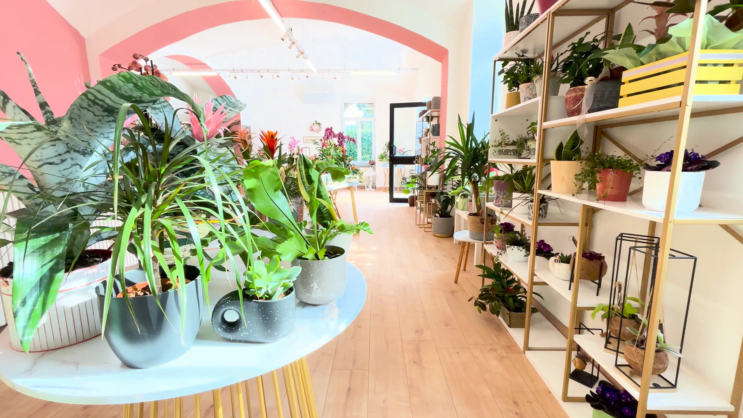 Una vista nitida dell’atelier, tra piante, scaffali e archi rosa